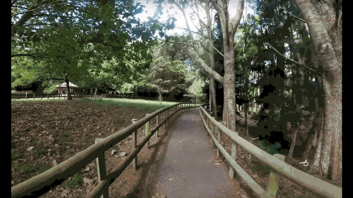 Taitua Video Preview