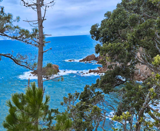 Pakahakaha Bay Walk Thumbnail